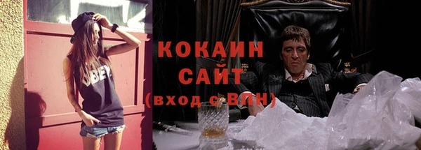 шишки Новодвинск