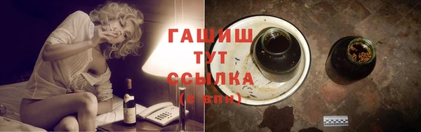 шишки Новодвинск