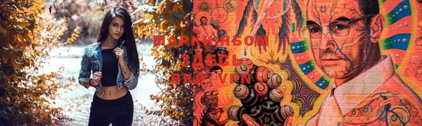 шишки Новодвинск