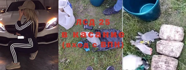 шишки Новодвинск