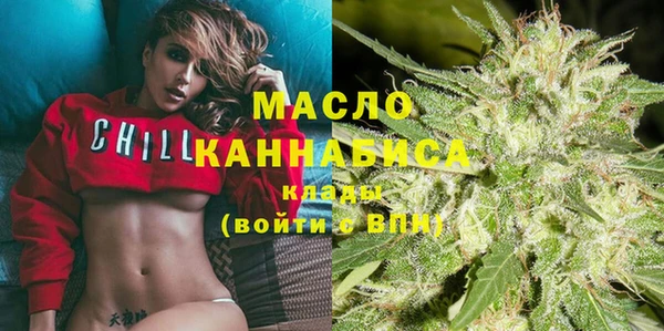 шишки Новодвинск